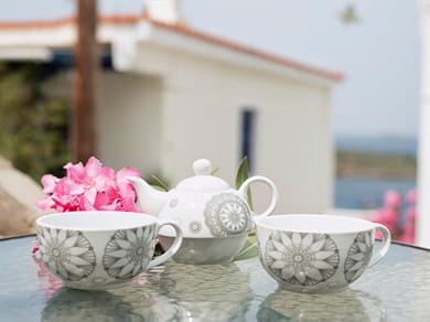 Villa Fiamegou Andros - Image 3