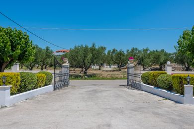 Villaggio Verde Zakynthos - Image 4