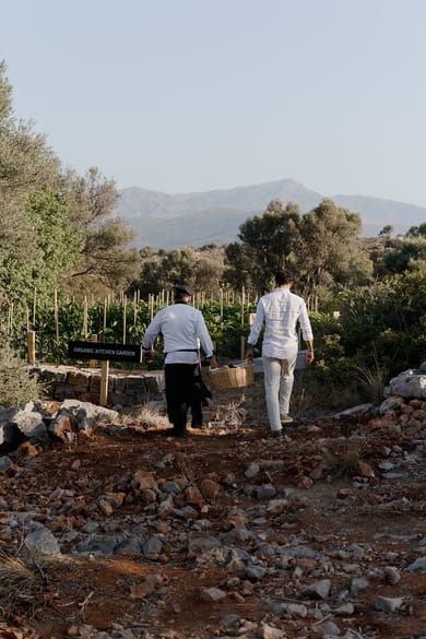 Village Heights Resort - Image 4