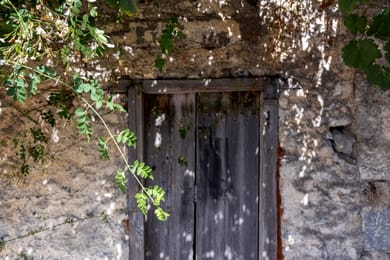 Mala Villa - Image 2