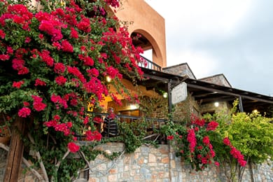 Mala Villa - Image 7