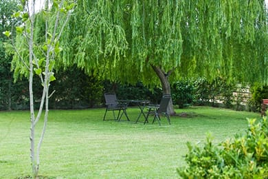 Villa Maltina - Image 3