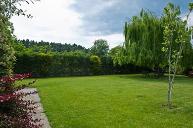 Villa Maltina - Image 5