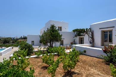 Villa Vinea Paros - Image 3
