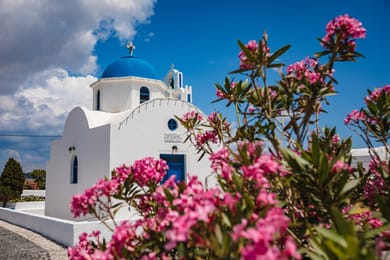 Vineyard Exclusive Suites - Image 6