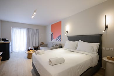 Vision Lavraga - Image 5