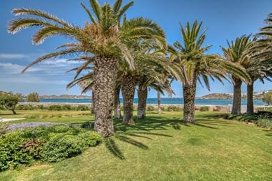 Villa Bellonia - Image 5