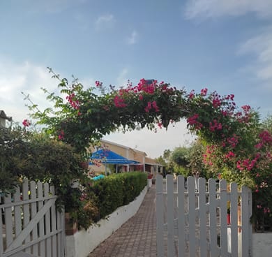 Villa Eleni Holidays Resort - Image 4