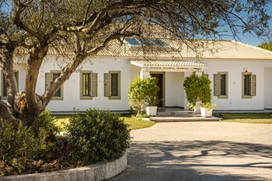 Villa Felicity - Image 2