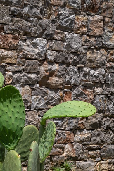 PHEIA, Vriniotis Resorts - Image 3