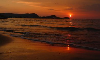 One Bedroom Apartment Garden / Pool View