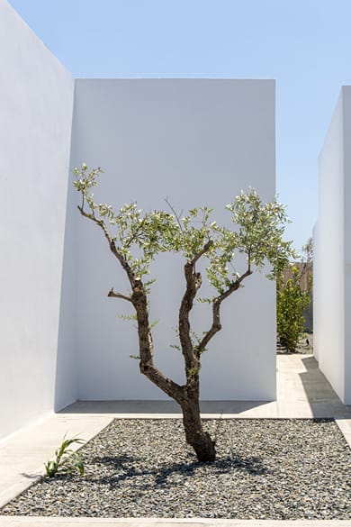 White Holidays Project - Image 3