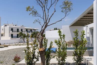 White Holidays Project - Image 5