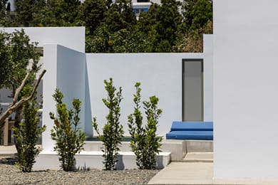 White Holidays Project - Image 7