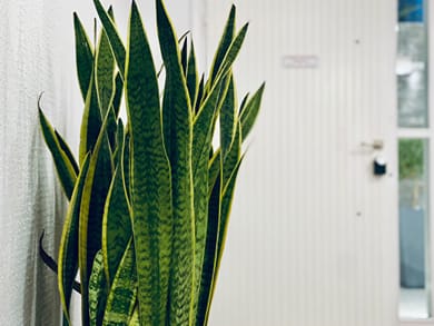 White Rock Milos Suites - Image 7