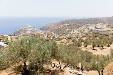 Windmill Bella Vista - Image 6