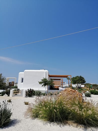 Xerolithos Natural Living - Image 6