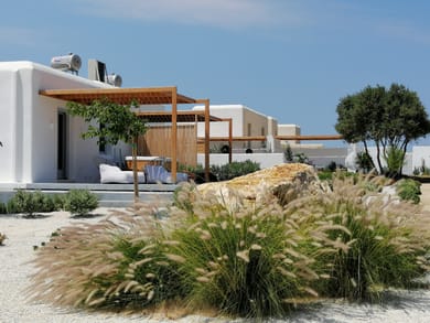 Xerolithos Natural Living - Image 3