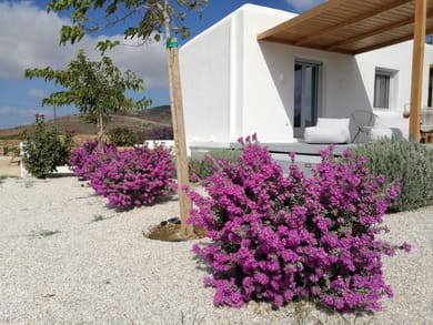 Xerolithos Natural Living - Image 4