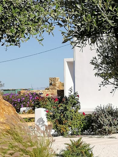 Xerolithos Natural Living - Image 7