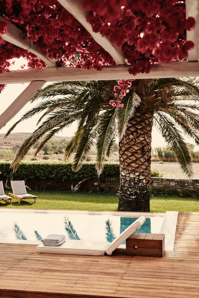 Pool Experience Suite