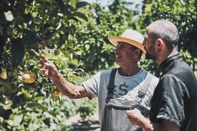 Yria Island Boutique Hotel & Spa - Image 5