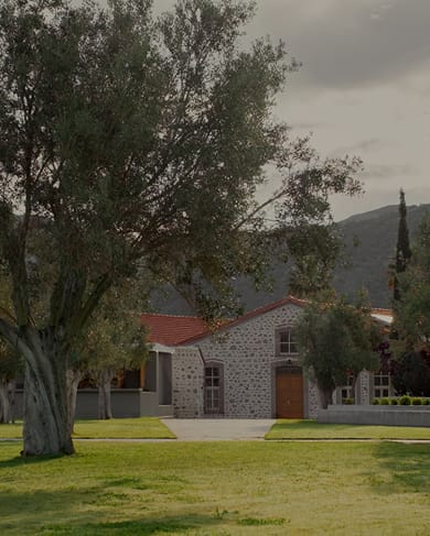 Zaira Hotel Mytilene - Image 5