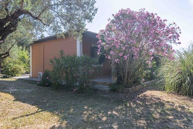 Zanteva Cottages - Image 4