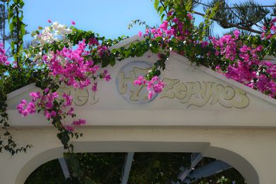 Zephyros Hotel Santorini - Image 6