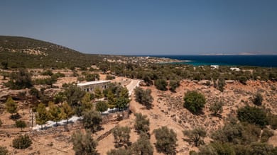 Zos Suites - Image 2