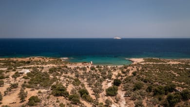 Zos Suites - Image 4