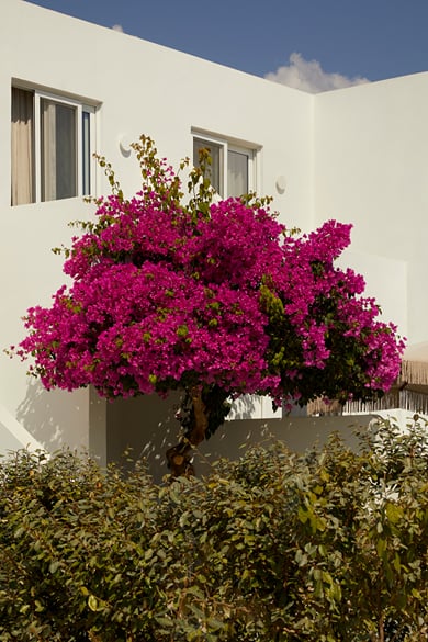 Summer Escape Offer – Up to 45% Off Your Stay