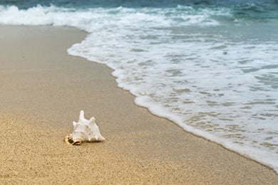 Greek Summer Experience
