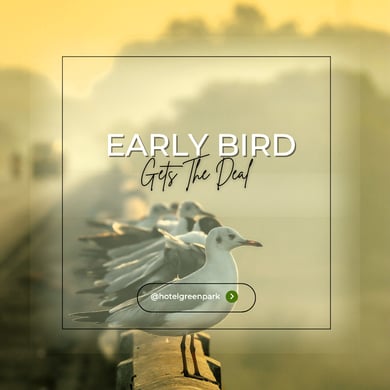 Early Bird Offer