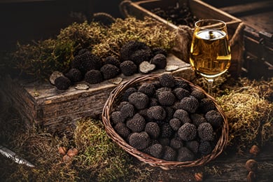 Tuscany: Woodlands & Truffles.
