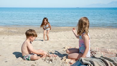 Late Summer Offer
