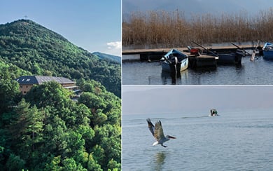 Kayaking & Bird Watching
