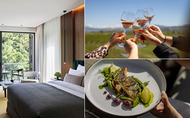 Wine & Gastronomy Stay