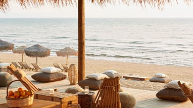 Late Summer Offer