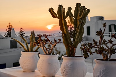 Crystal Green Suites Mykonos