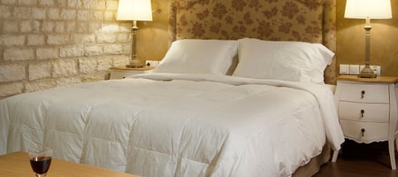 Deluxe Double with Fireplace (Forest View)