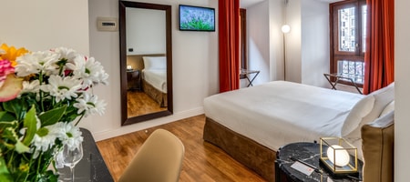 Superior Double/Twin Room in the Annex