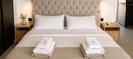 Executive Double Room)