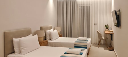 Double or Twin Room with Mountain View