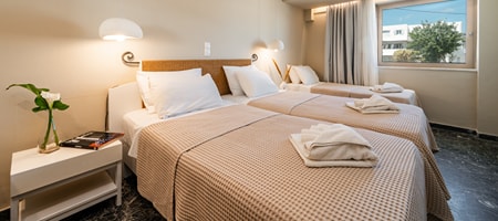 Economy Room Triple
