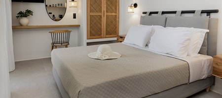 Double Room with Indoor Jacuzzi