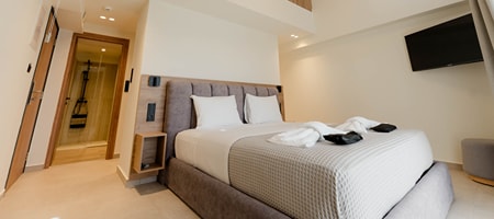 Premium Two-Bedroom Loft Suite