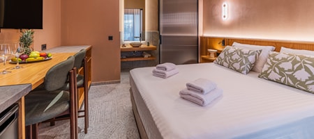Standard Suite