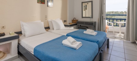 Double Economy Room