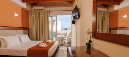 Superior Plus Double Room